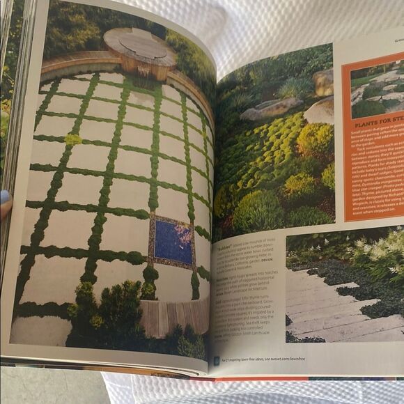 Sunset Western Garden Landscaping - Picture 13 of 14